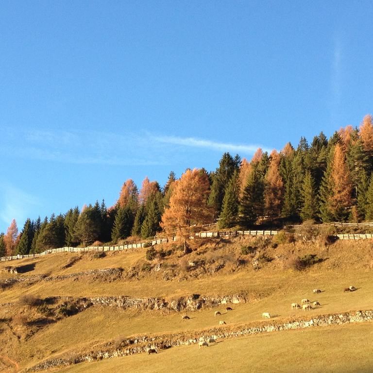 Agriturismo Maso Larciunei Selva di Val Gardena Extérieur photo