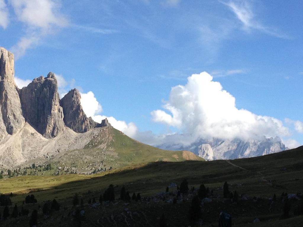 Villa Agriturismo Maso Larciunei à Selva di Val Gardena Extérieur photo