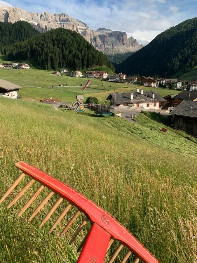 Agriturismo Maso Larciunei Selva di Val Gardena Extérieur photo