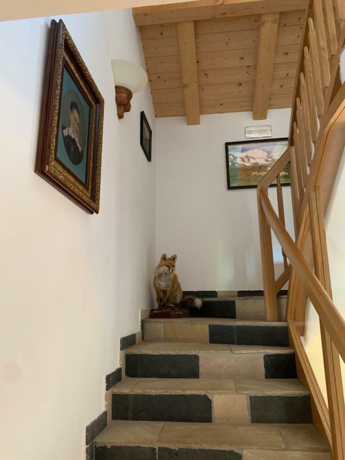 Villa Agriturismo Maso Larciunei à Selva di Val Gardena Extérieur photo